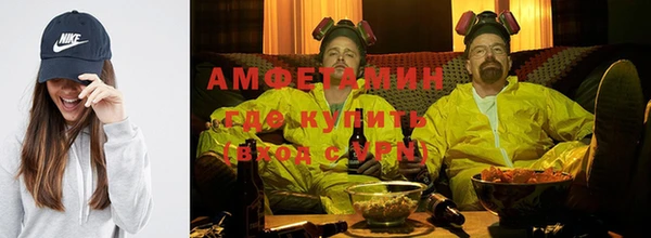 крисы Богородицк