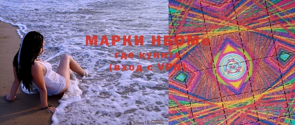 крисы Богородицк