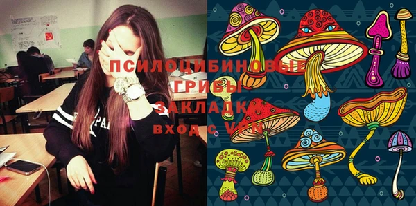 синтетический гашиш Богородск
