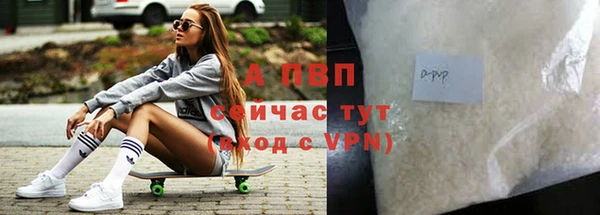 ГАЛЛЮЦИНОГЕННЫЕ ГРИБЫ Богданович