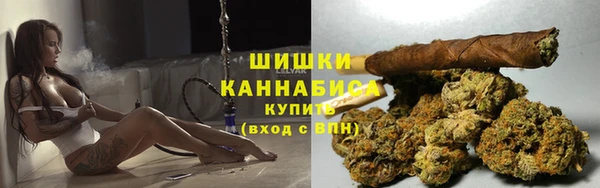 ГАЛЛЮЦИНОГЕННЫЕ ГРИБЫ Богданович