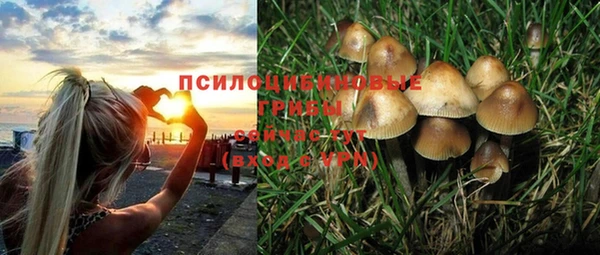 крисы Богородицк
