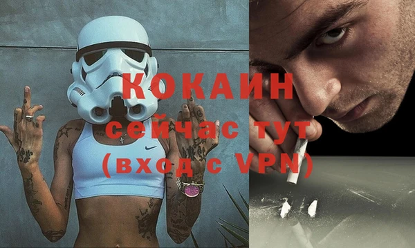 ГАЛЛЮЦИНОГЕННЫЕ ГРИБЫ Богданович