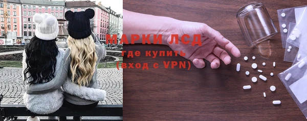 ГАЛЛЮЦИНОГЕННЫЕ ГРИБЫ Богданович