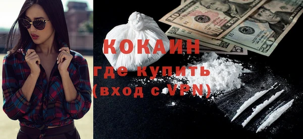 ГАЛЛЮЦИНОГЕННЫЕ ГРИБЫ Богданович