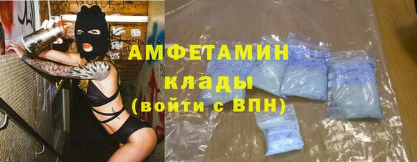 ГАЛЛЮЦИНОГЕННЫЕ ГРИБЫ Богданович