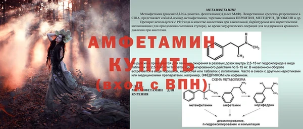 крисы Богородицк