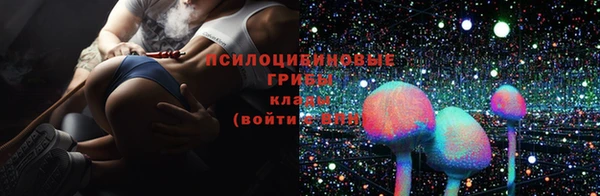 ГАЛЛЮЦИНОГЕННЫЕ ГРИБЫ Богданович