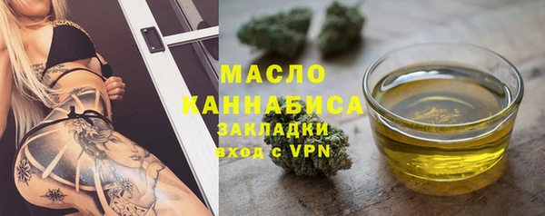 крисы Богородицк