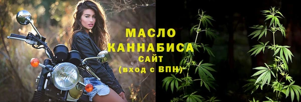 крисы Богородицк