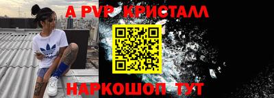 ГАЛЛЮЦИНОГЕННЫЕ ГРИБЫ Кингисепп