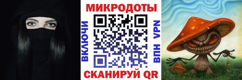 площадка клад  Малоярославец  Галлюциногенные грибы прущие грибы 