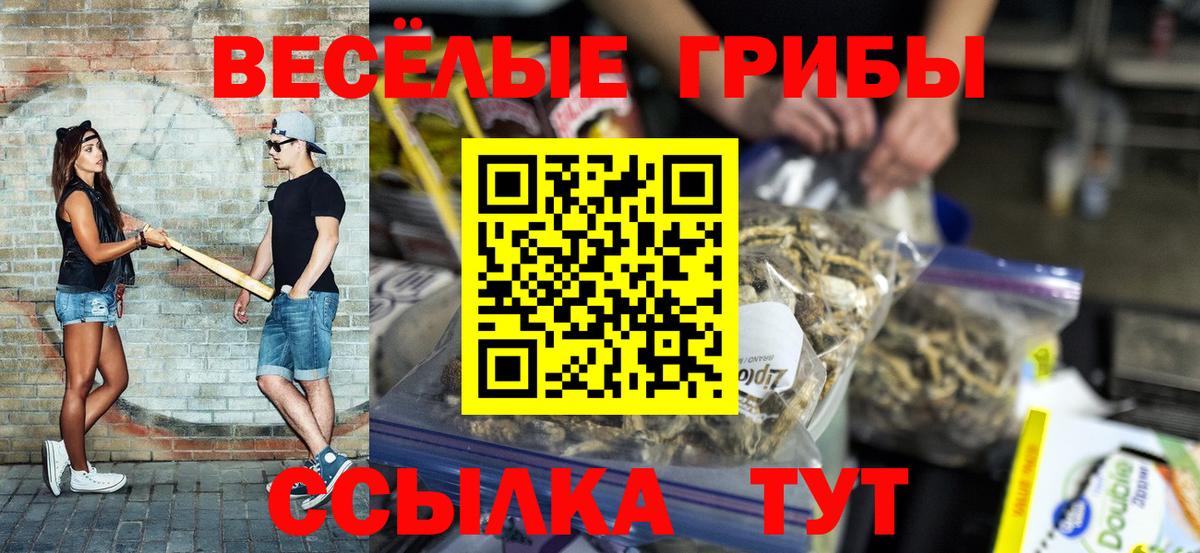 Псилоцибиновые грибы Cubensis Малоярославец