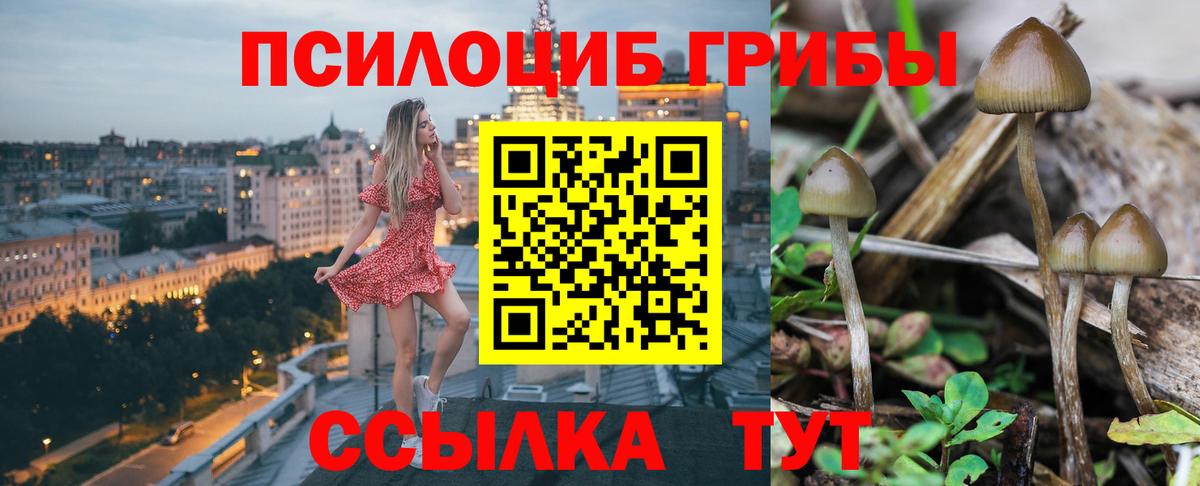 Псилоцибиновые грибы ЛСД  Вход с VPN  Малоярославец 